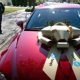 Tune car online